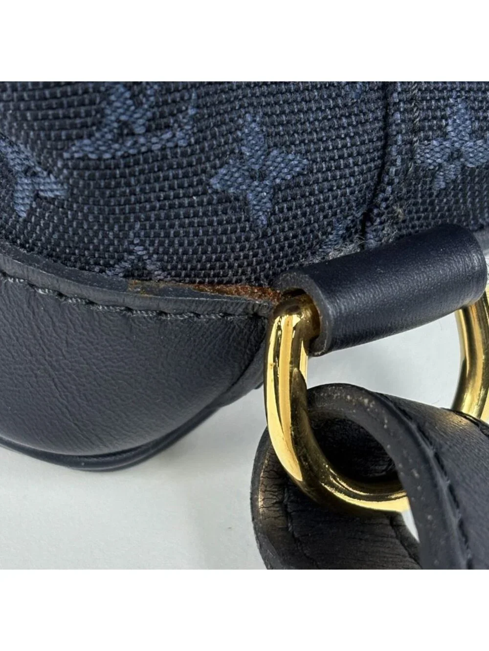 Louis Vuitton Montsouris GM Backpack Monogram Mini Blue